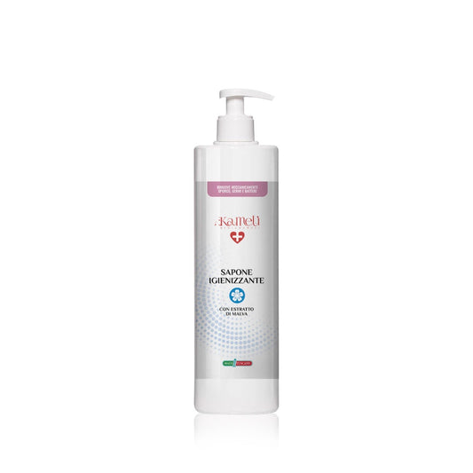 SAPONE IGIENIZZANTE 250 ML